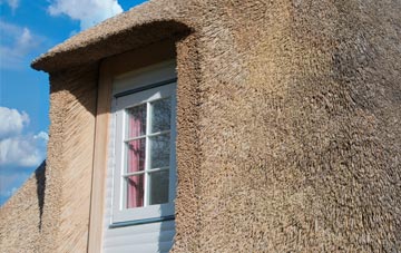 Stert thatch roof disadvantages