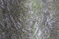 Stert fibreglass roof work